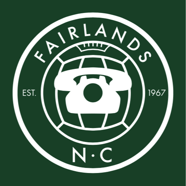 Fairlands Netball Club logo