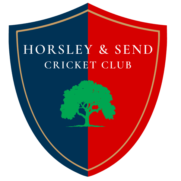 Horsley & Send Cricket Club logo