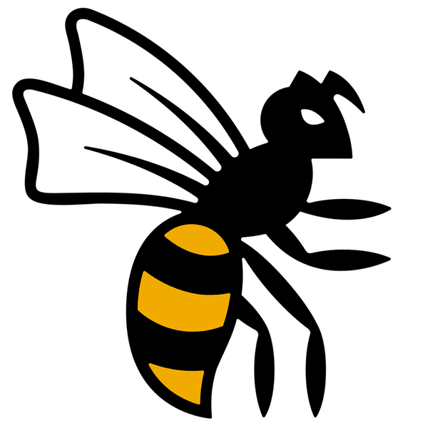 Wasps FC logo